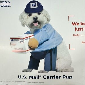 Small Dog Halloween Costume United States Post Office Mail Carrier With Package